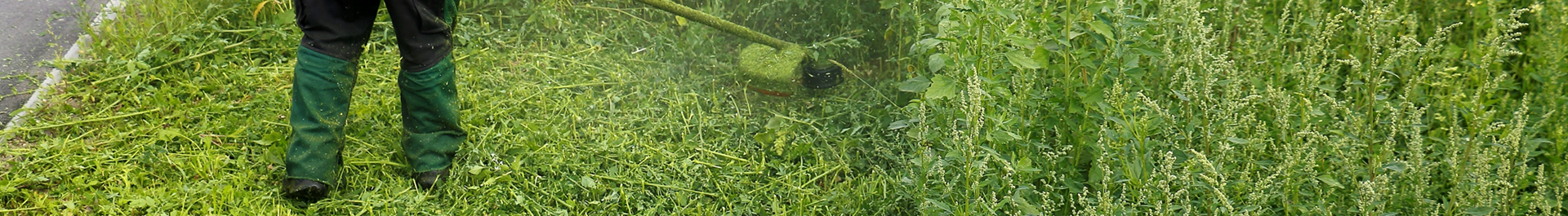 Gardener strimming long grass.