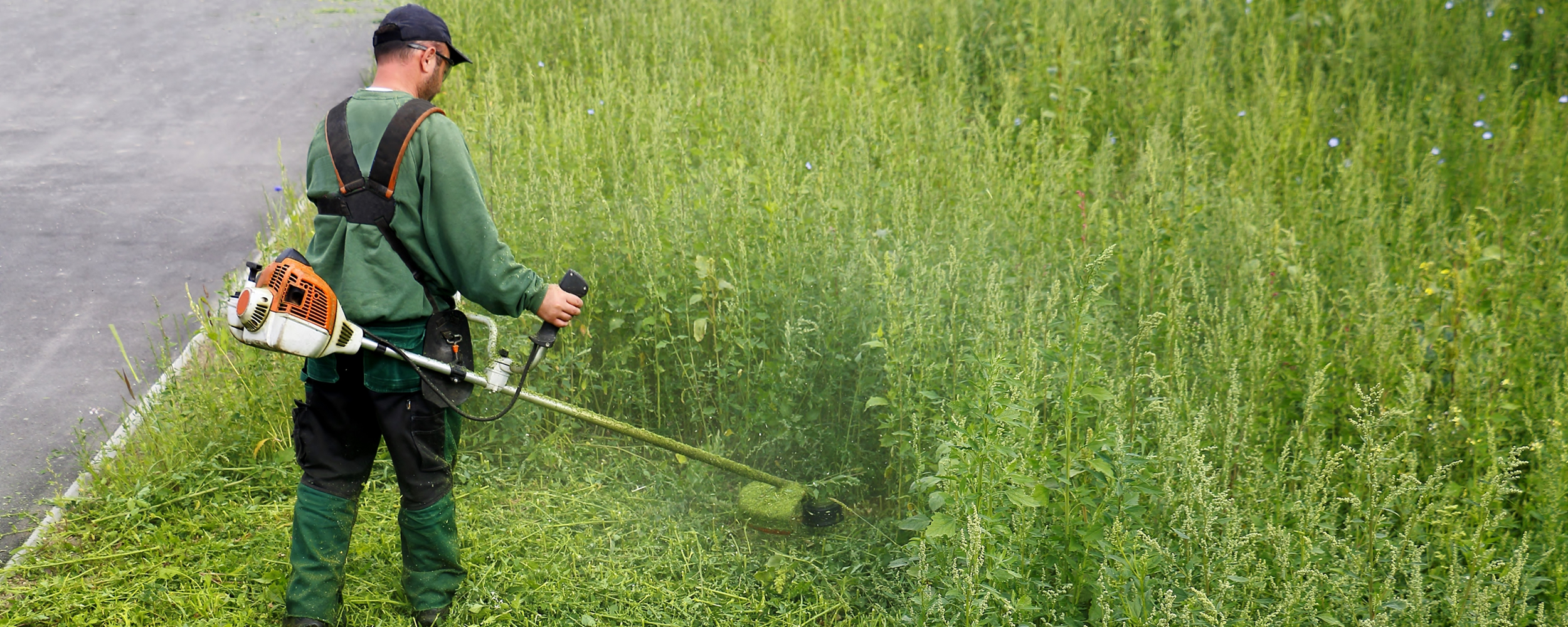 Local gardener busy strimming grass during the height of the growing season.